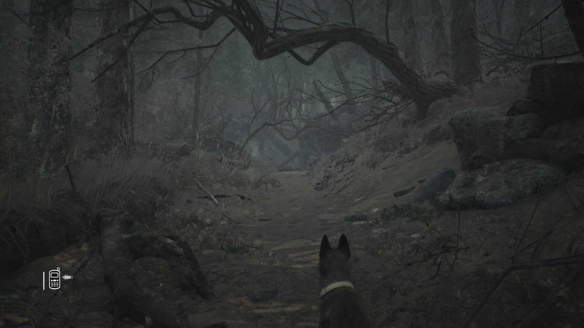 Blair Witch - Imagen 15